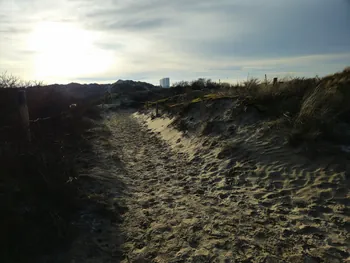 Oostnieuwkerke duinen wandeling in de koude (België)